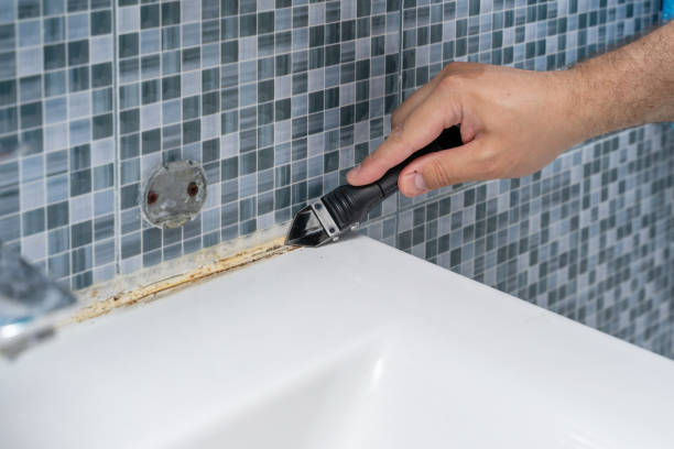 Best Insurance-Related Mold Remediation in South Berwick, ME
